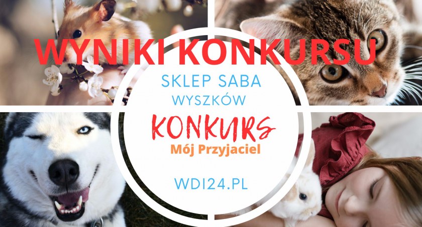 Kto wygrał?/ Zdjęcie: grafika wdi24.pl/fot.pexels.com