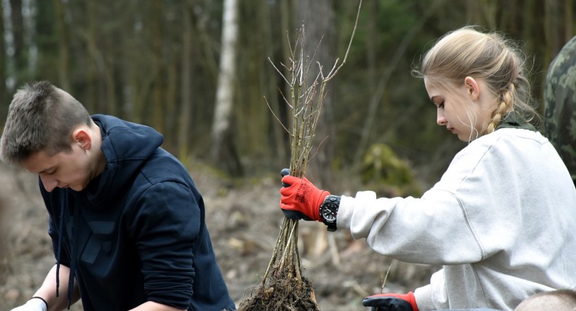 Uczniowie zasadzili blisko tysiąc sadzonek dębu szypułkowego na terenie Leśnictwa Nowiny/zdjęcie: Powiat Wyszkowski