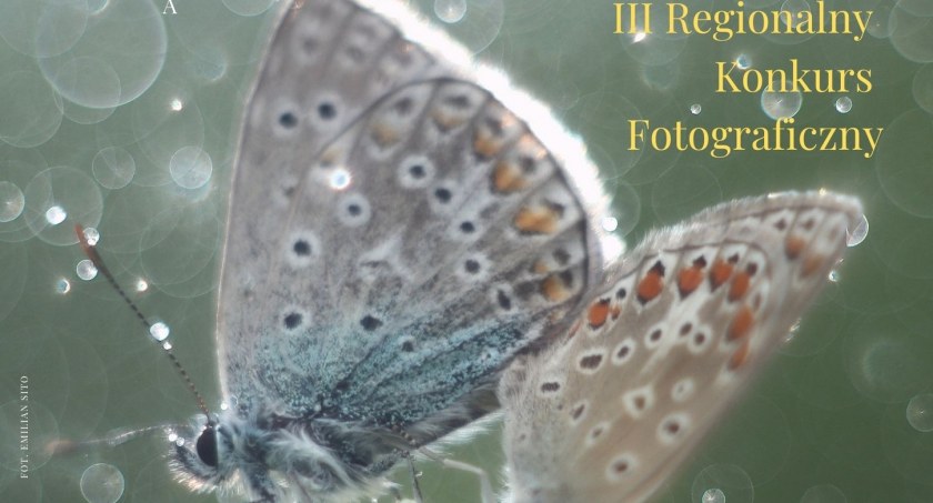 Każdy ma możliwość dostarczenia maksymalnie 3 fotografii/zdjęcie: plakat(fragment),organizatorzy