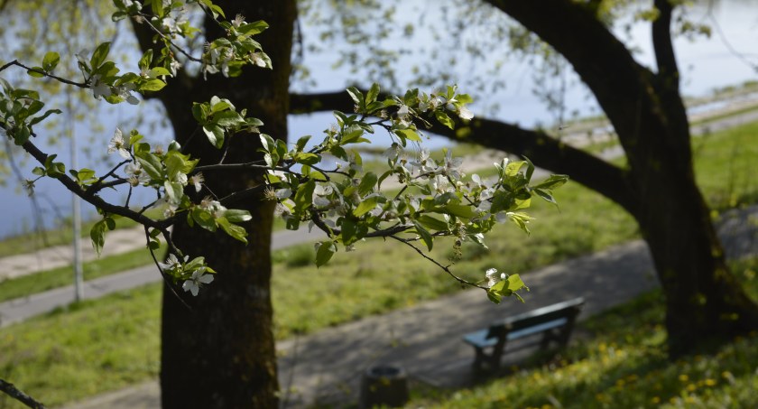 W niedziele prognozy wskazują na więcej słońca i wyższe temperatury/zdjęcie: wdi24.pl