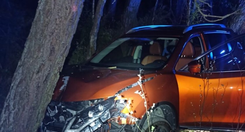 Zdarzenie drogowe z udziałem samochodu osobowego i dzika/zdjęcie: Policja Wyszków