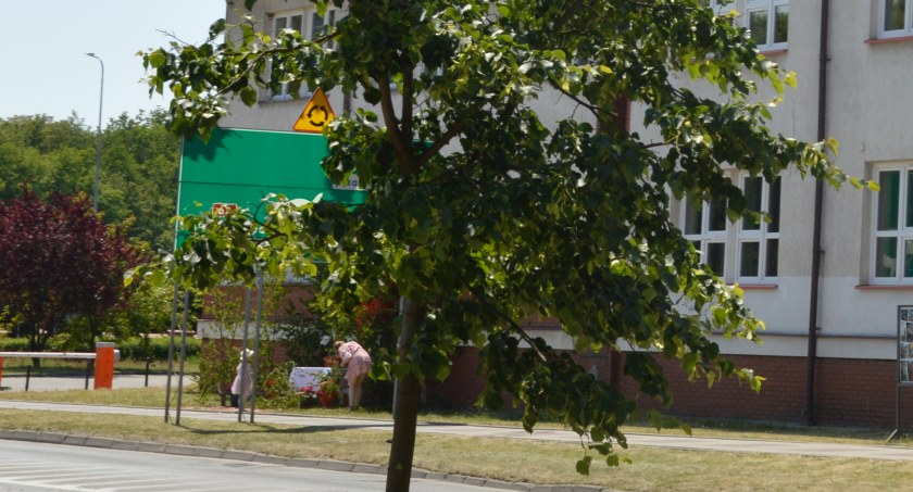 Stowarzyszenie 