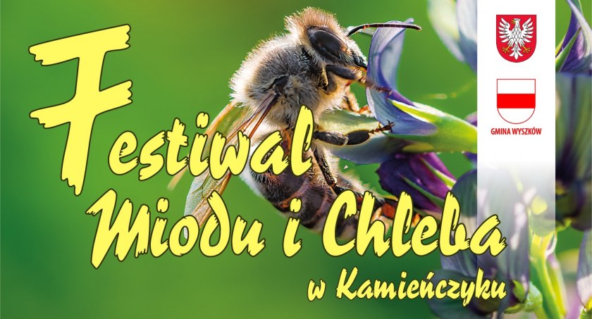 Festiwal Miodu i Chleba w Kamieńczyku przyciąga nie tylko mieszkańców/zdjęcie: organizatorzy