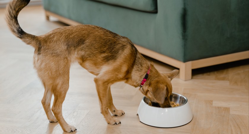 Zdj. poglądowe: MART PRODUCTION, pexels