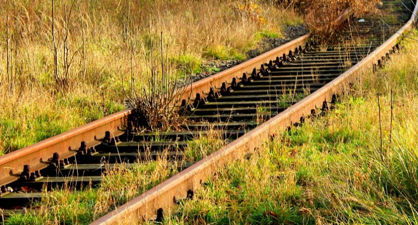 Nastolatek spadł z wysokości ok. 7 metrów na podłoże trawiaste/zdjęcie: pixabay.com