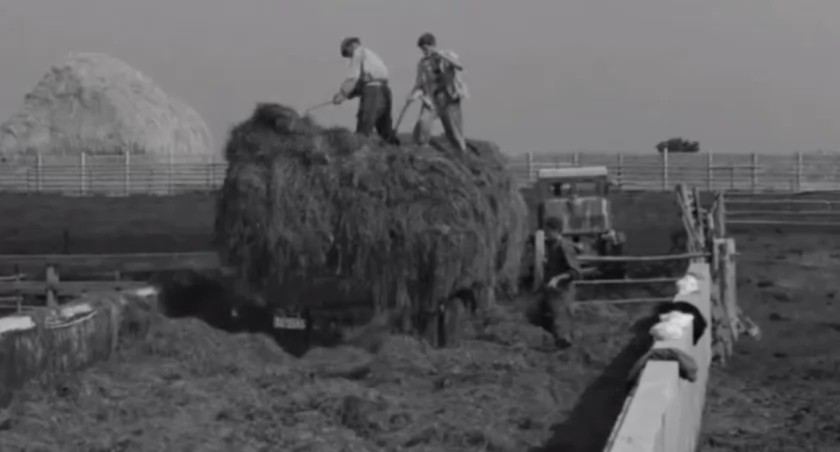10-minutowy film stowarzyszenie znalazło w zbiorach Wytwórni Filmów Oświatowych w Łodzi. / Zdjęcie: kadr z filmu (17.11.2023)