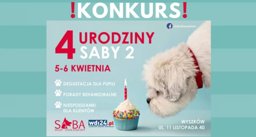 SABA 2 obchodzi 4.urodziny! / Zdjęcie: SABA 2, wdi24.pl