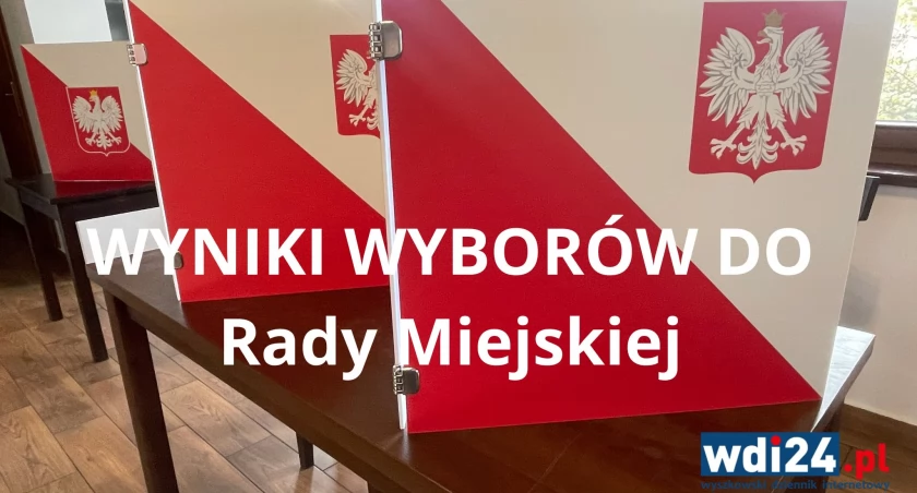 Wybory samorządowe 2024./ Zdjęcie: wdi24.pl