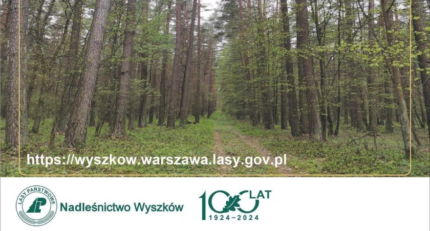 Głównym punktem pikniku będą zawody sportowe. / Zdjęcie: organizatorzy 