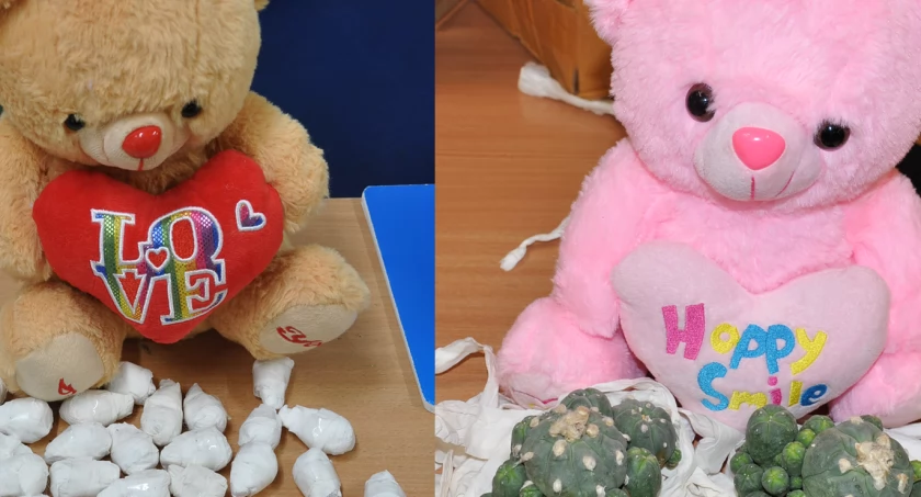 W ich wnętrzu znajdowały się sadzonki roślin. / Zdjęcie: KAS