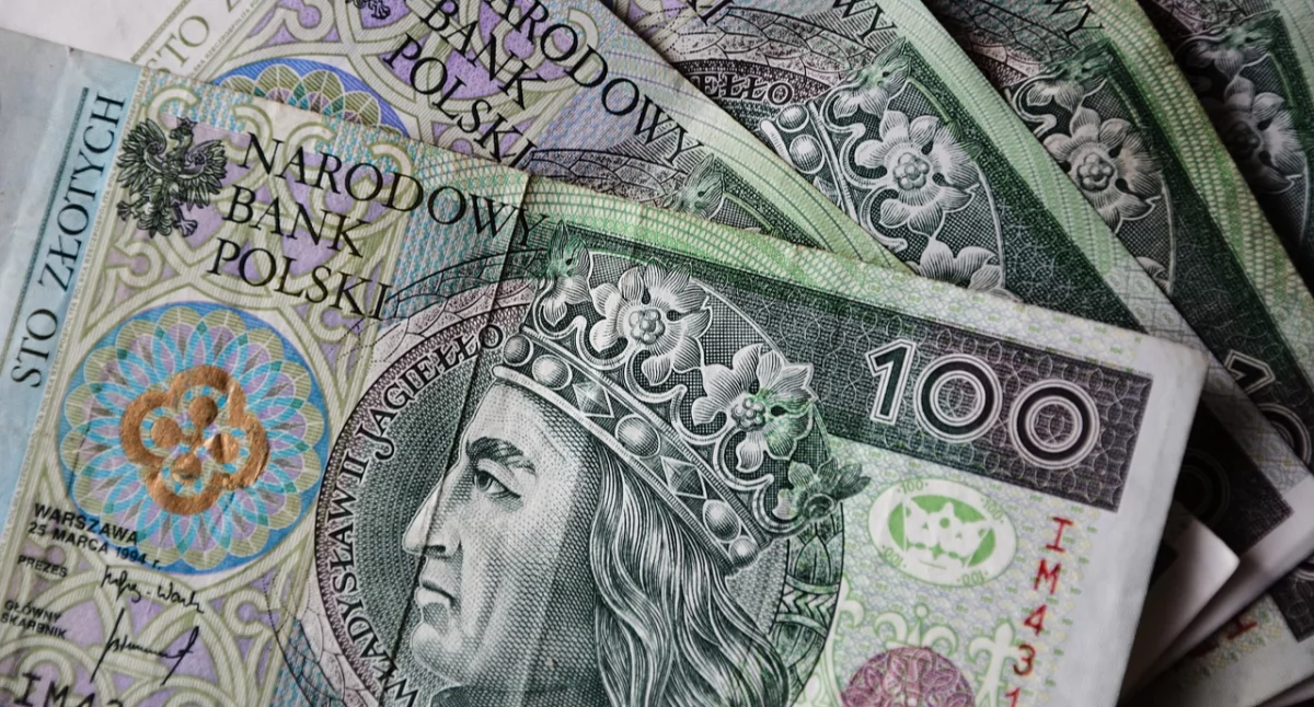 Pierwsze transze dodatku dopełniającego zostanę wypłacone w maju br. Wypłaty będą realizowane w tych samych terminach co płatności rent socjalnych. / Zdjęcie: pixabay.com 