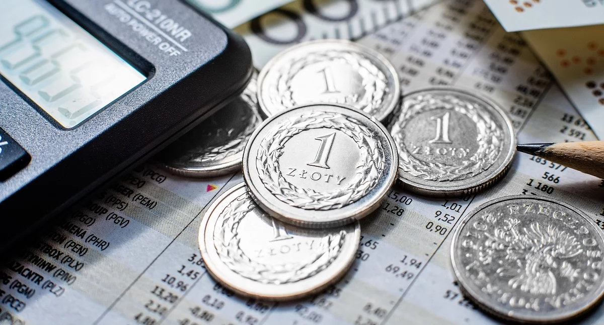 Finanse, Blisko trzeci Polak ocenia swoją aktualną sytuację finansową - zdjęcie, fotografia