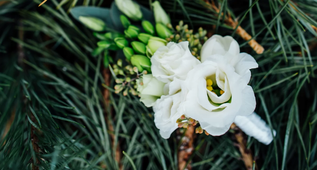 Co roku przeprowadzanych jest ponad 4000 kontroli, a około 500 osób zostaje ukaranych mandatami za nielegalny handel stroiszem. / Zdjęcie: freepik.com 