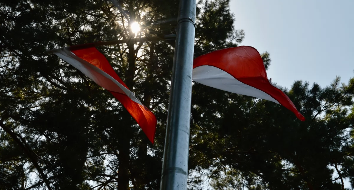 Jak wywiesić flagę, by nie dostać kary? O tym trzeba pamiętać 