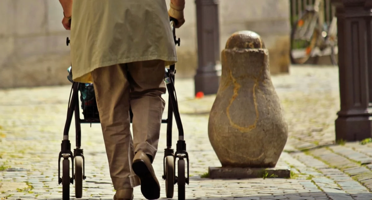 Największe straty odnotowano w powiatach położonych na peryferiach, z dala od dużych miast. / Zdjęcie: pixabay.com 