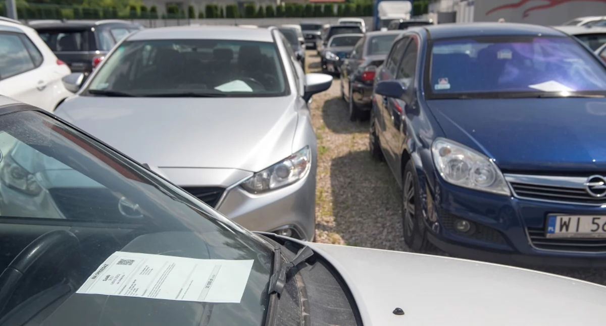 Zdjęcie: MondayNews 