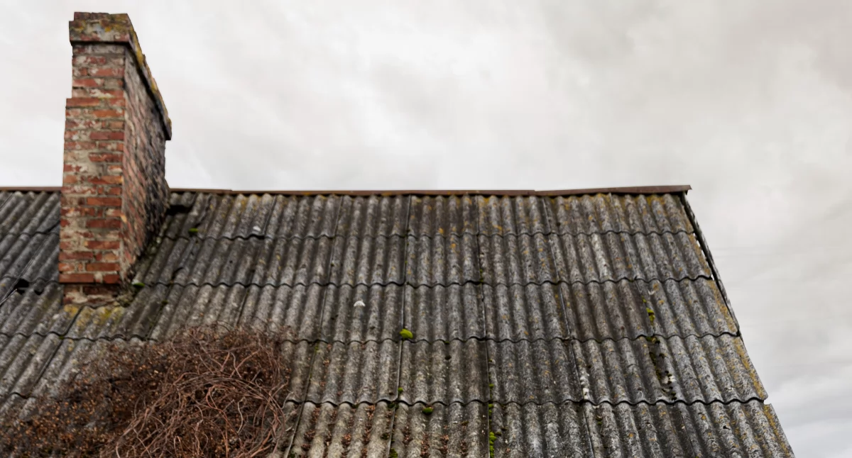 Urząd Miejski w Wyszkowie przypomina o corocznym obowiązku aktualizacji informacji o wyrobach zawierających azbest. / Zdjęcie: Freepik.com 