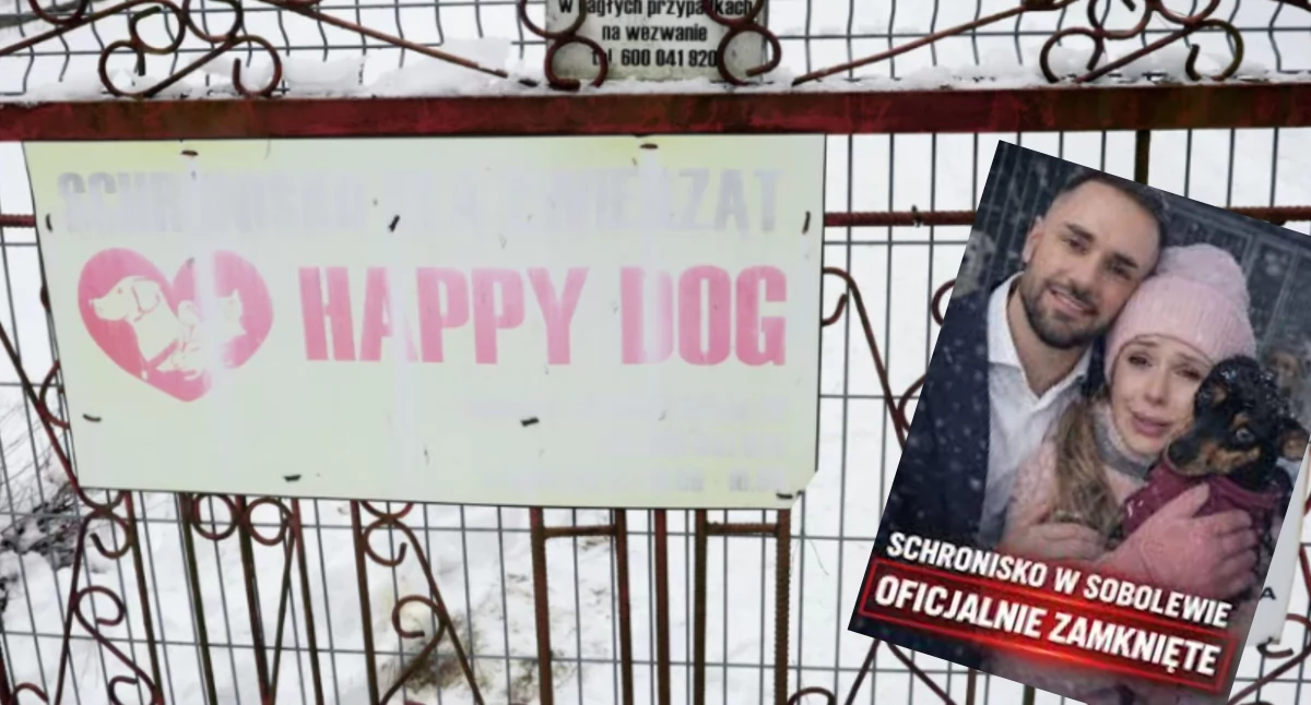 O tragicznej sytuacji zwierząt w Sobolewie media dowiedziały się dzięki piosenkarce, Dodzie, która mocno nagłośniła sprawę. Następnie dołączył do niej m.in. poseł Łukasz Litewka, który słynie z angażowania się w akcję pomocowe. / Zdjęcia: TikTok