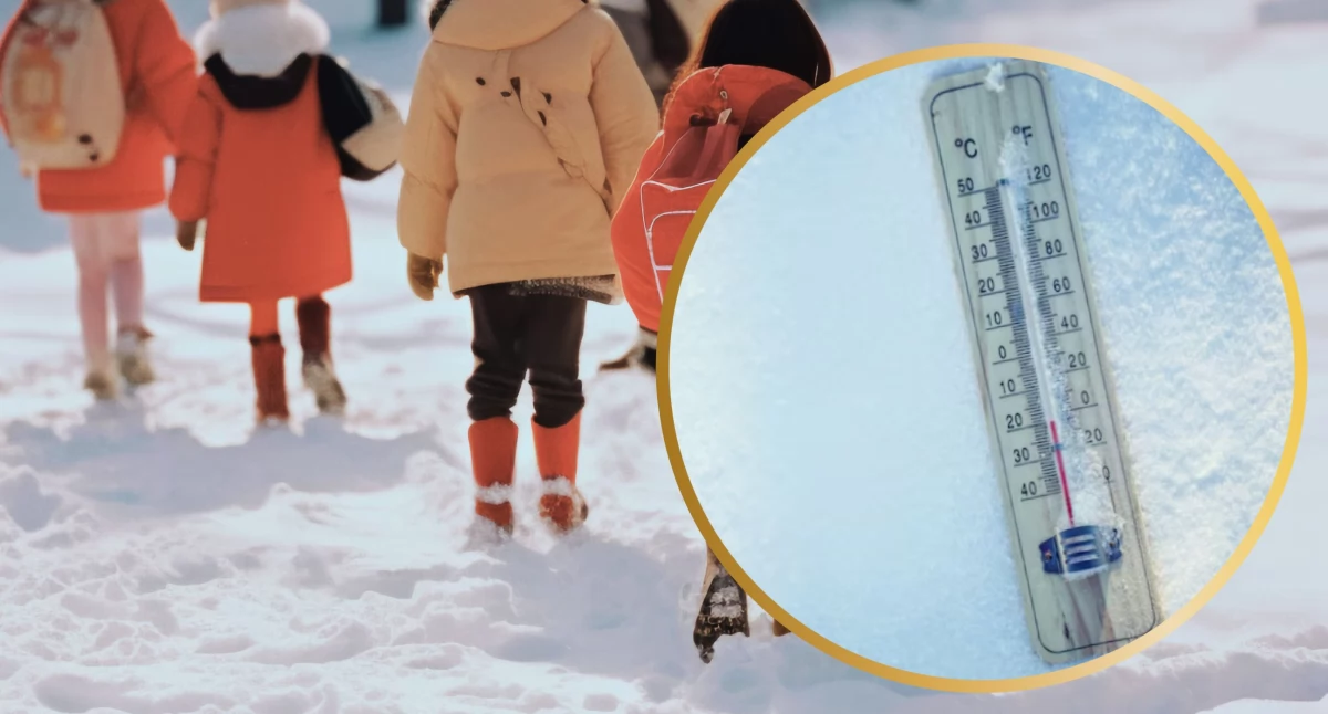 Gmina Wyszków wydała 1 lutego komunikat w odpowiedzi na pojawiające się pytania dotyczące funkcjonowania szkół w związku z trudnymi warunkami pogodowymi. / Zdjęcie: freepik.com 