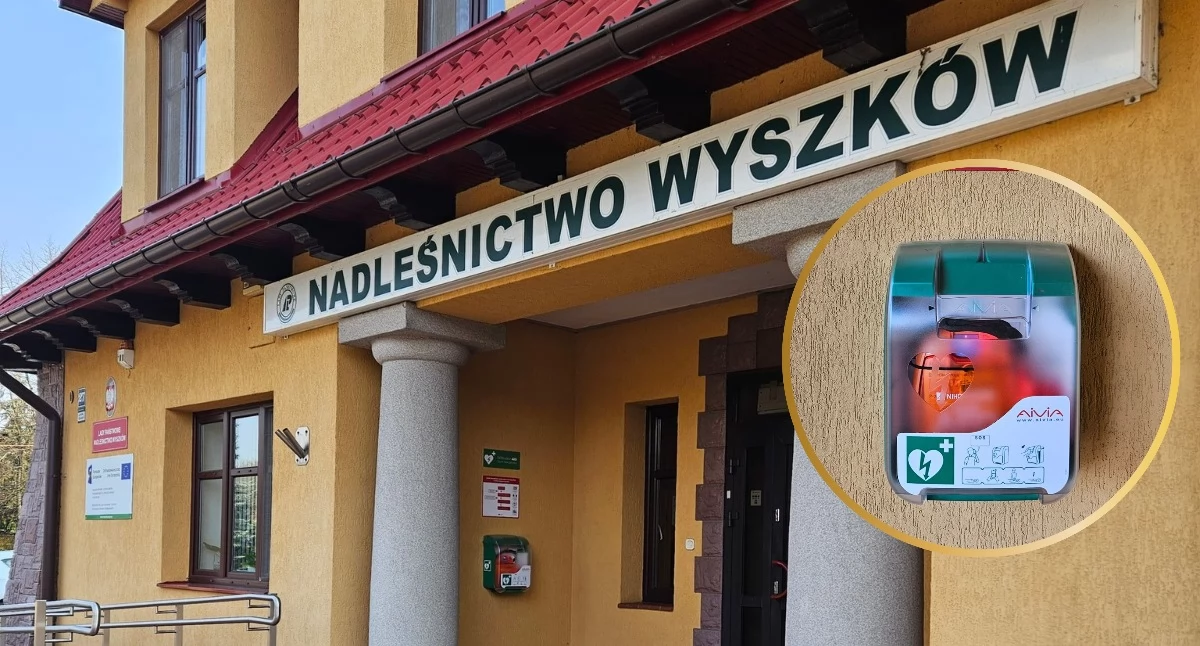 Zdjęcie: Nadleśnictwo Wyszków 
