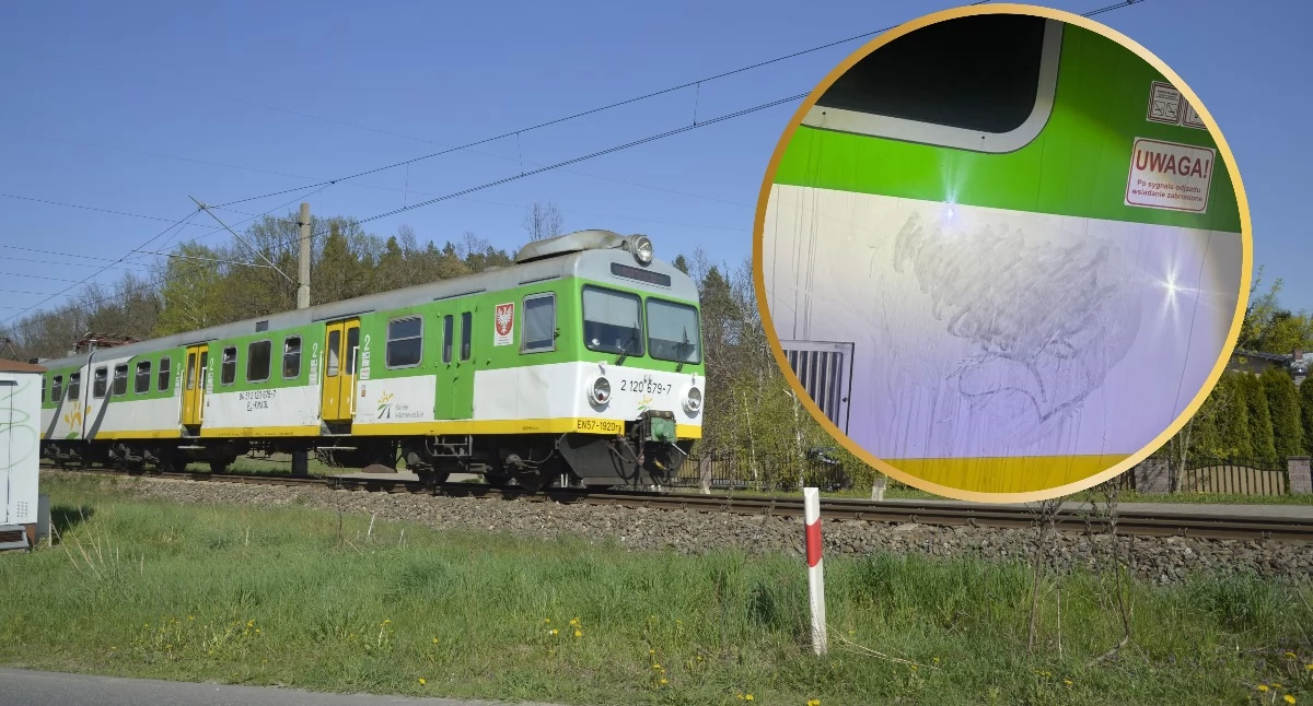 Zdjęcie: arch. wdi24.pl / KPP w Wyszkowie 