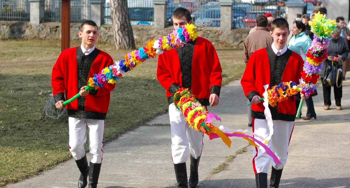 Tradycja, jutro Niedziela Palmowa Łysych wyjątkowe święto tradycji Kurpi Zielonych - zdjęcie, fotografia