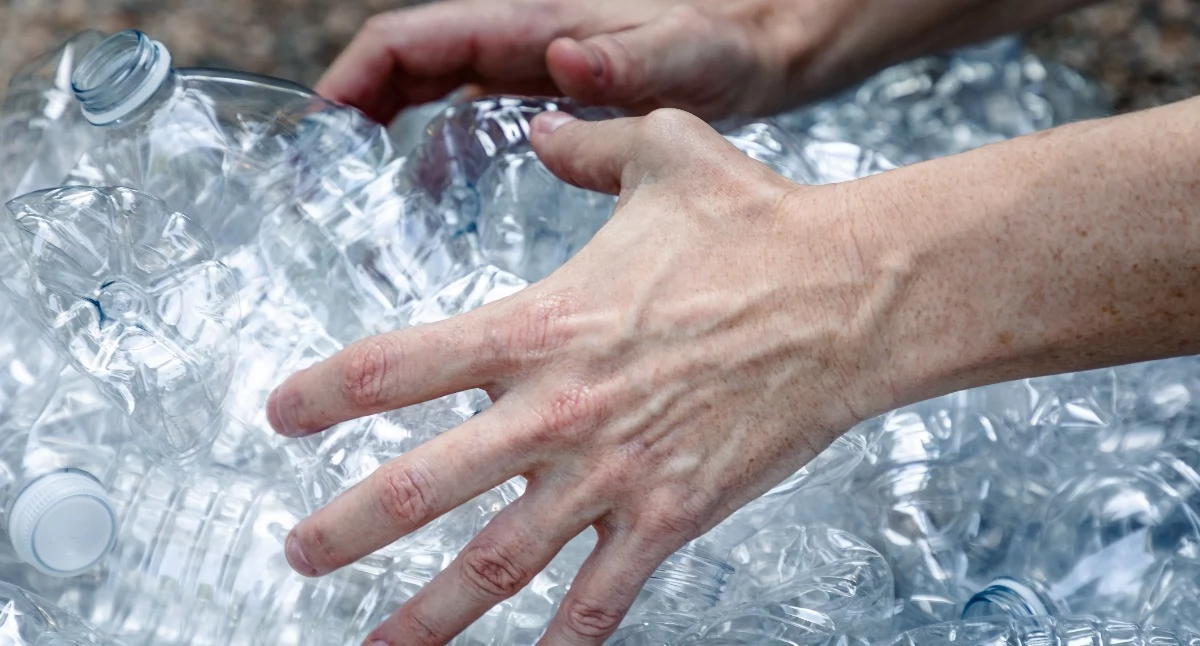 Zdjęcie: freepik.com 