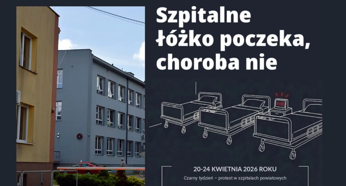 Zdjęcie: red. / org. 