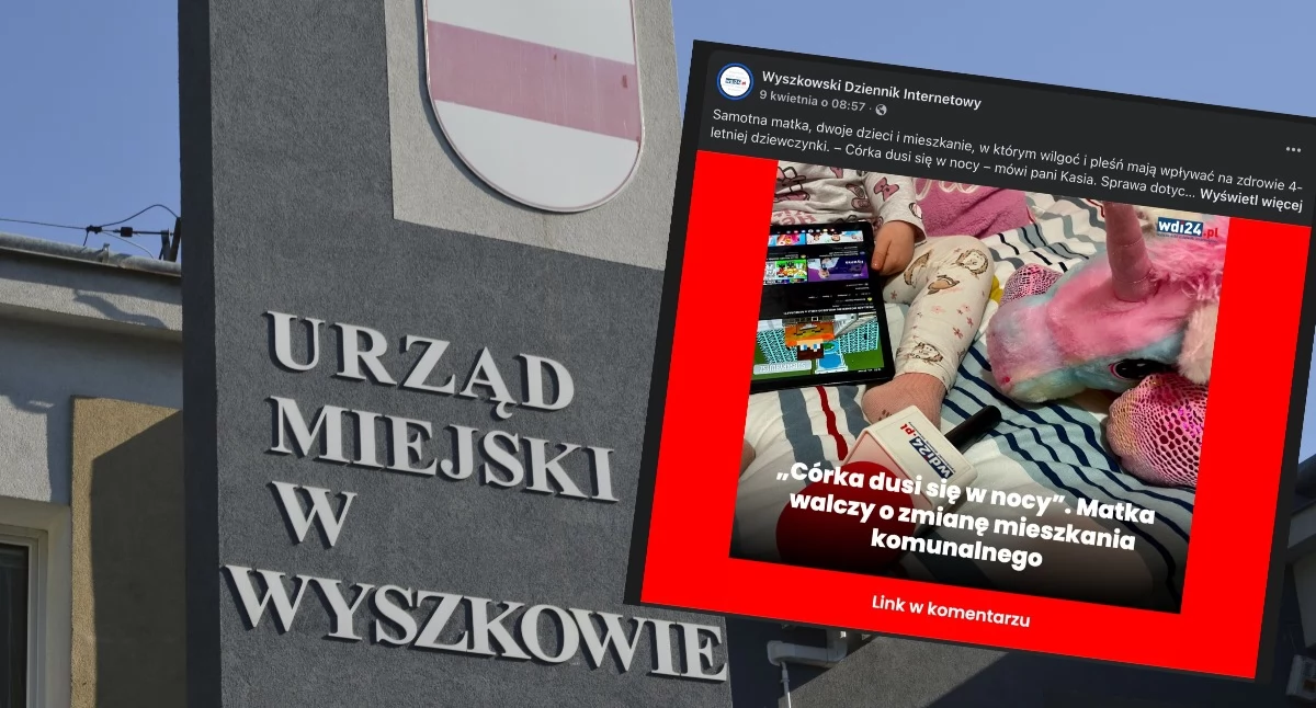 Zdjęcia: wdi24.pl / A.J. 