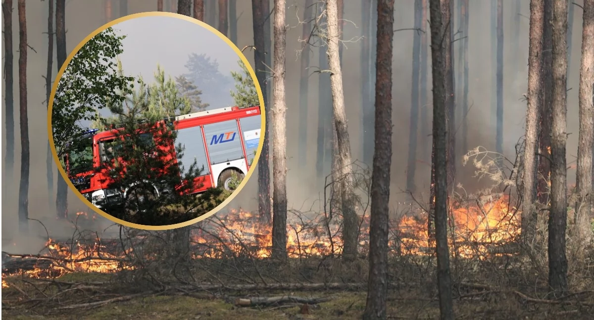 Zdjęcie: Państwowa Straż Pożarna 