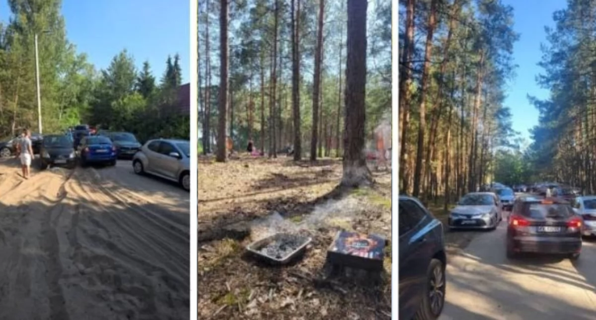 Świniotop czeka na decyzję. Jest pierwsza odpowiedź w sprawie chaosu nad Liwcem