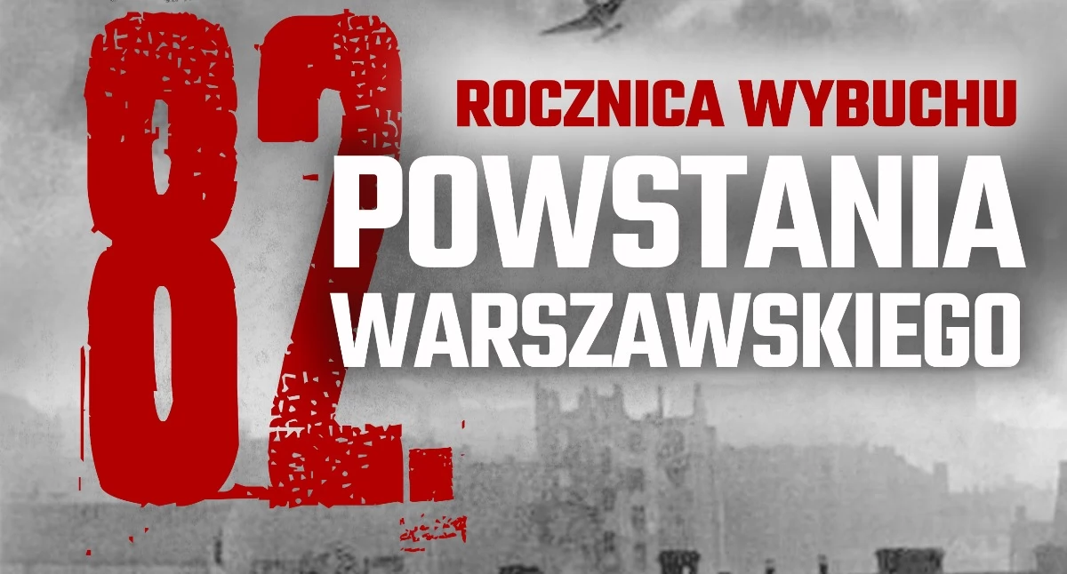 Zdjęcie: Org. 