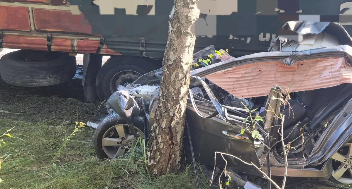 Dramatyczne zdjęcia z miejsca tragedii na DK62. Strażacy apelują: Lepiej dojechać 5 minut później