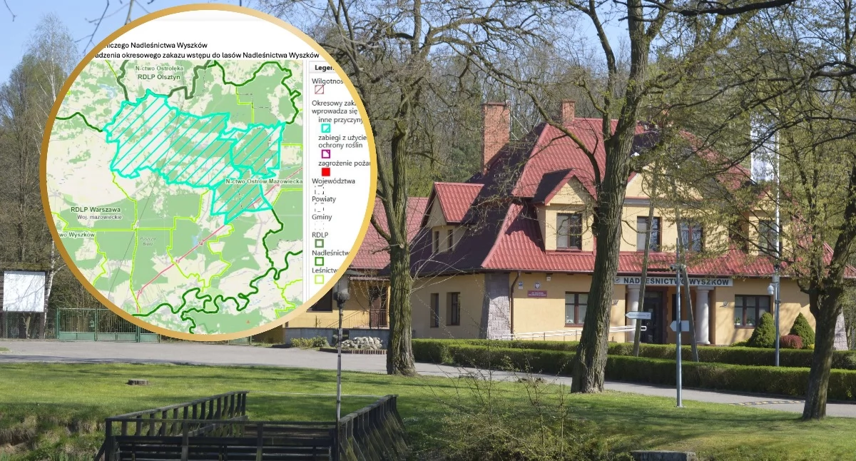Po nawałnicy zamykają część lasów. Nadleśnictwo wprowadziło całkowity zakaz wstępu