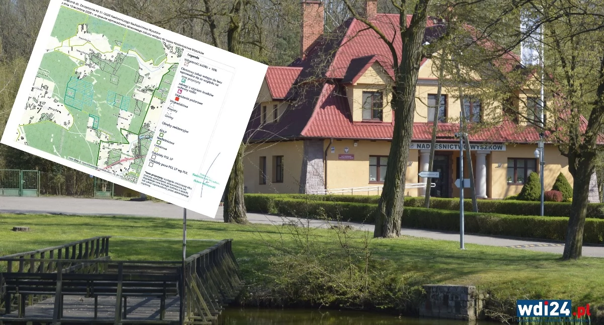 Zakaz wstępu do lasu przedłużony. Nadleśnictwo ostrzega przed niebezpieczeństwem