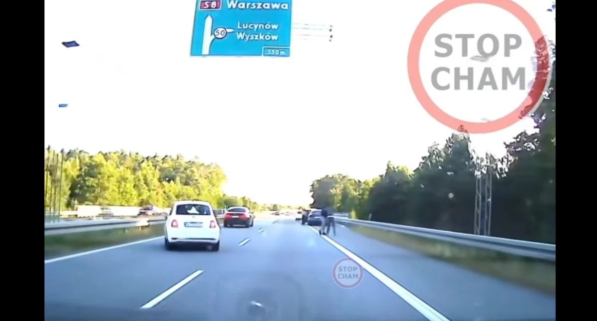 "MMA" na S8. Nagranie obiega internet, policja szuka świadków [wideo]