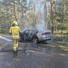 Fotka nr 2 z 4