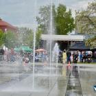 zdjęcie nr 7