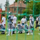 zdjęcie nr 20