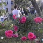 zdjęcie nr 33