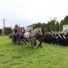 zdjęcie nr 12