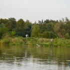 zdjęcie nr 35