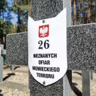 Fotka nr 4 z 21