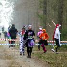 zdjęcie nr 8