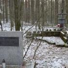 zdjęcie nr 39