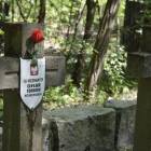 zdjęcie nr 13
