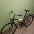 Fotka nr 2 z 4