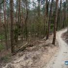 zdjęcie nr 7
