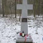 zdjęcie nr 41
