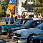 zdjęcie nr 49